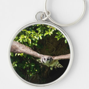 Owl Flying Keychain