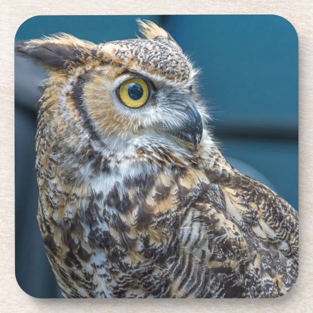 Owl hard plastic coasters (Front)