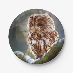 Owl Hoo Paper Plate