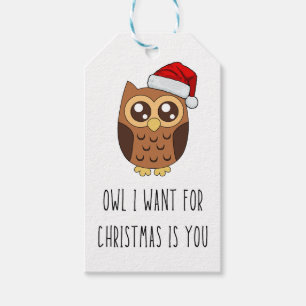 Owl I Want for Christmas Is You – Cute Owl Design Gift Tags