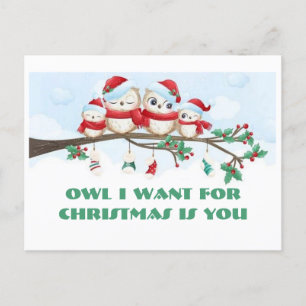 Owl I Want For Christmas Postcard