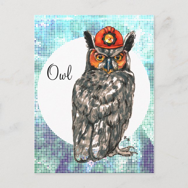 Owl in a helmet postcard (Front)