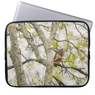 Owl in a Tree Nature Art Laptop Cover