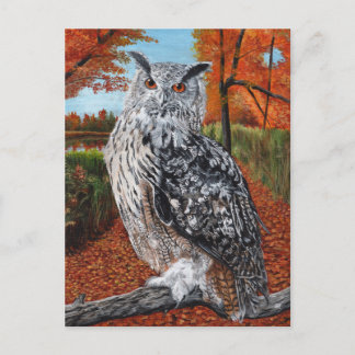 Owl in Autumn forest fine art Postcard