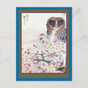 Owl in Cherry Tree Postcard