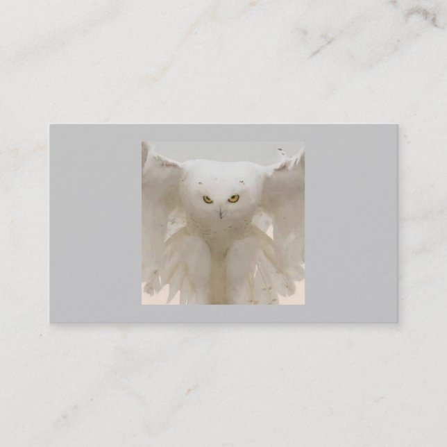 OWL IN FLIGHT BUSINESS CARDS (Front)