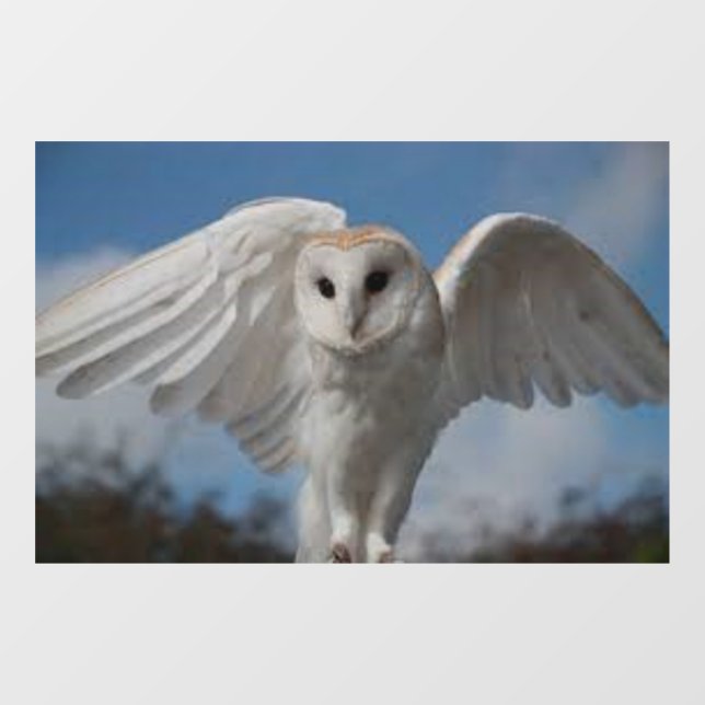 "OWL IN FLIGHT" WINDOW CLING (Sheet)