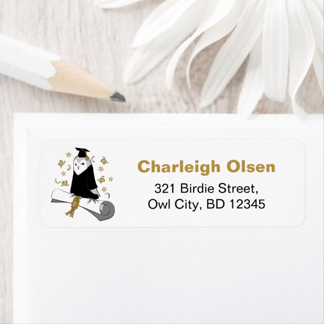 Owl in Gown Preschool / Kindergarten Graduation (Insitu)