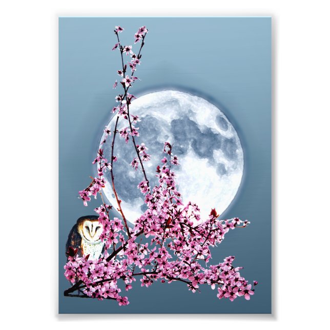 Owl in Plum Tree Photo Print (Front)
