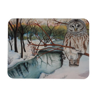 Owl in Snow Magnet