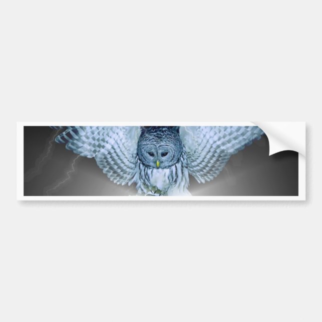 OWL in the DARK Bumper Sticker (Front)