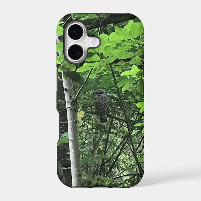 Owl in the Trees, Oregon (Back)