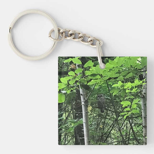 Owl in the Trees, Oregon Keychain (Front)