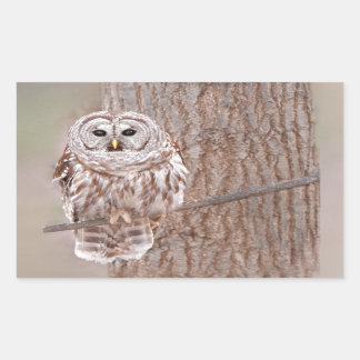 Owl in Tree Nature Bird Add Text Sticker
