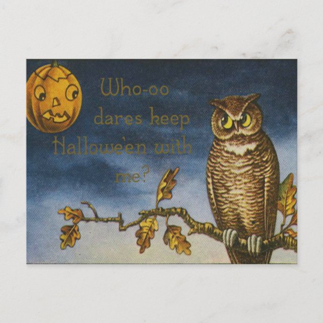 Owl Jack O Lantern Pumpkin Postcard (Front)