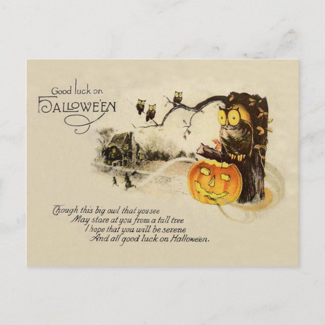 Owl Jack O' Lantern Pumpkin Tree Postcard (Front)