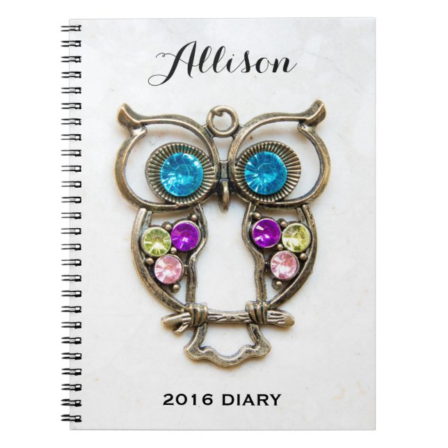 Owl Jewerly Photo Colourful Eyes and Wings Notebook (Front)