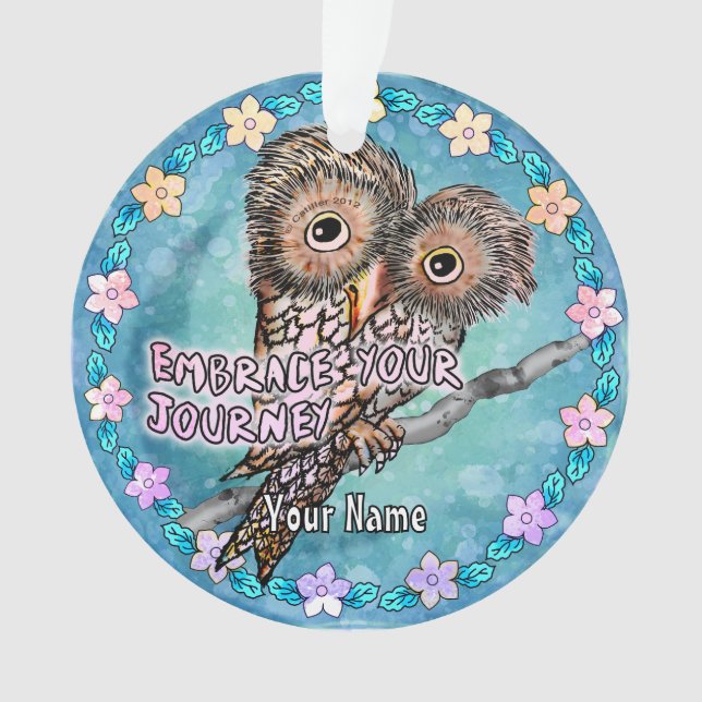 Owl Journey (devant)
