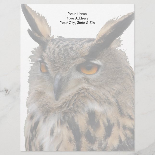 Owl Letterhead (Front)