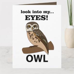 Owl Look Into My Eyes Owl Card