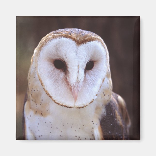 owl magnet (Front)
