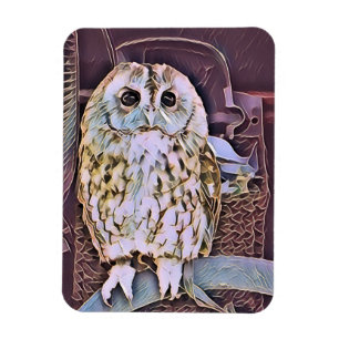 OWL MAGNET