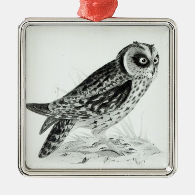 Owl Metal Ornament (Front)