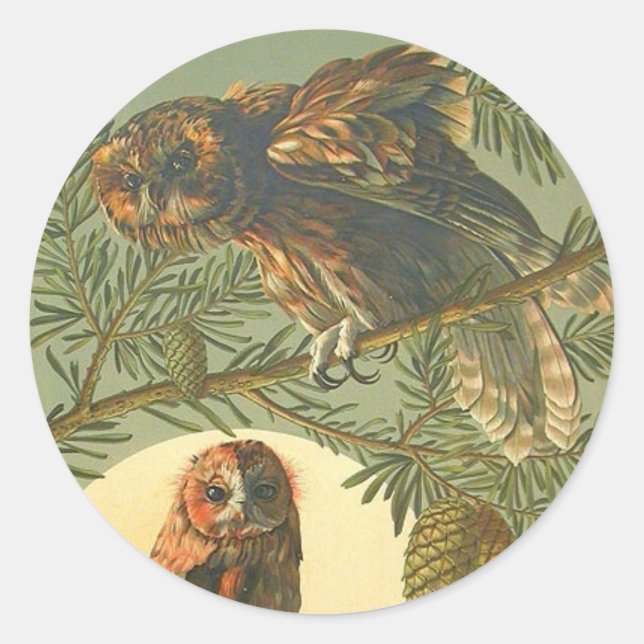 Owl moon Art nouveau Anton Seder brown green  Classic Round Sticker (Front)