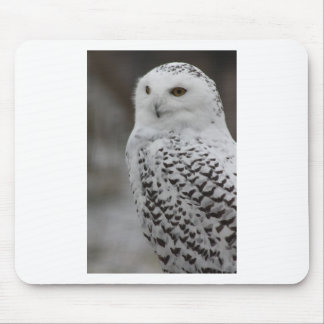 Owl Mouse Pad