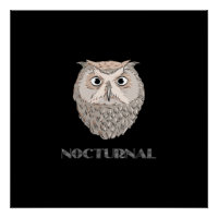 Owl Nocturnal Illustration