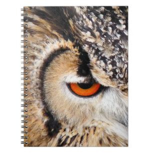 OWL NOTEBOOK