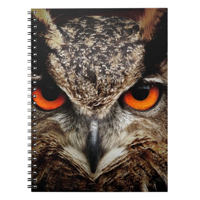 Owl Notebook (Front)