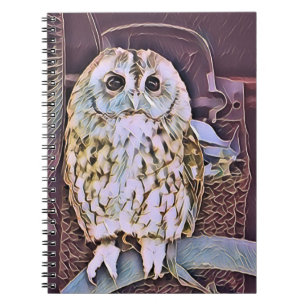 OWL  NOTEBOOK