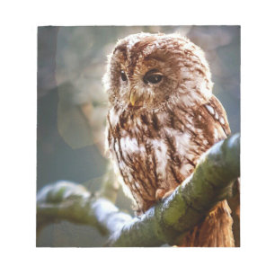 Owl Notepad