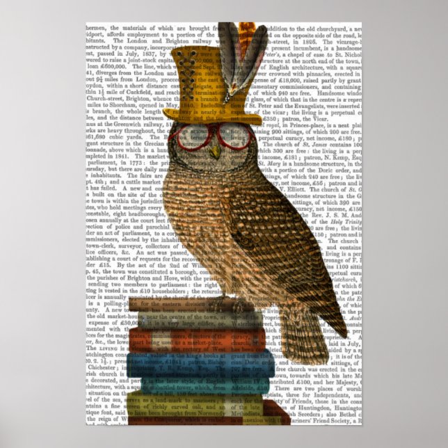 Owl On Books Poster (Front)