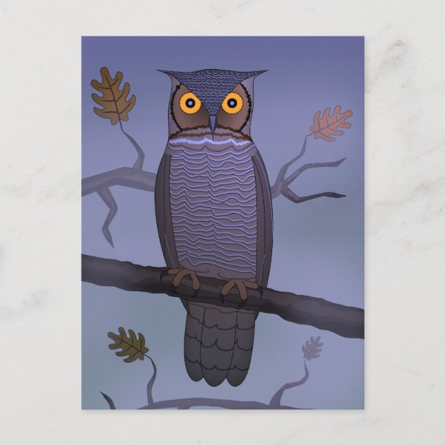 Owl on Branch Postcard (Front)