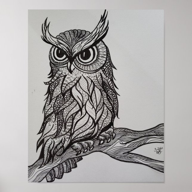 Owl on branch poster (Front)