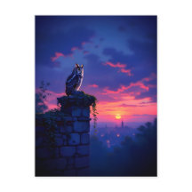 Owl on Sunset City Rooftop
