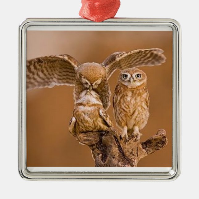 OWL ORNAMENT (Front)