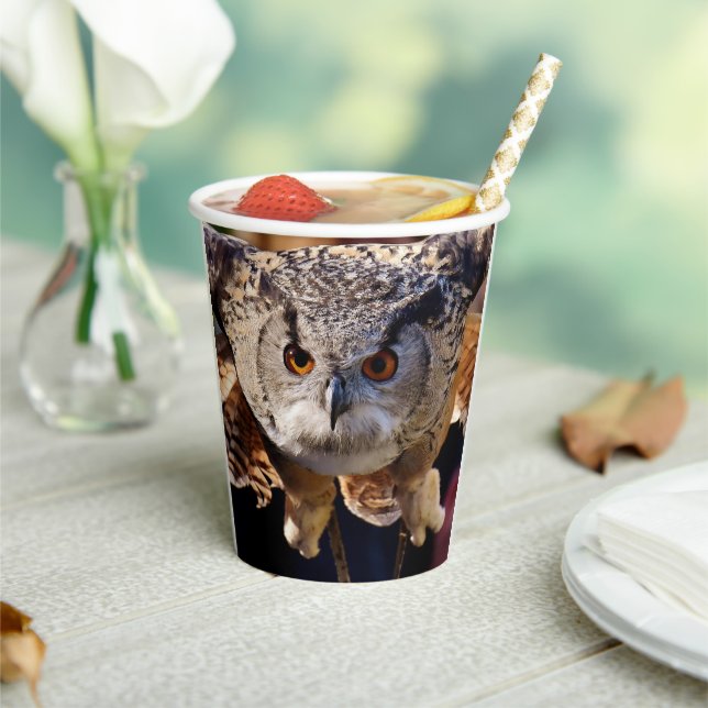 Owl Paper Cups (Insitu)