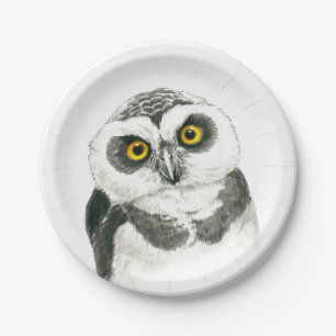 Owl Paper Plate
