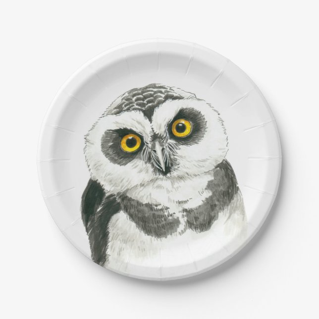 Owl Paper Plate (Front)