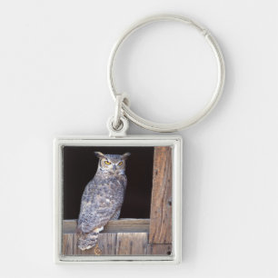 Owl perched in a window keychain