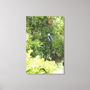 Owl perching on a tree canvas print