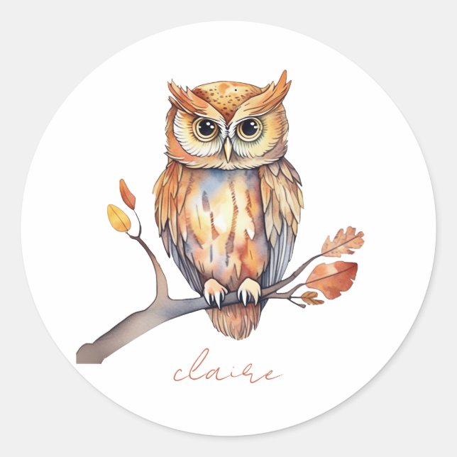 Owl Personalized Classic Round Sticker (Front)