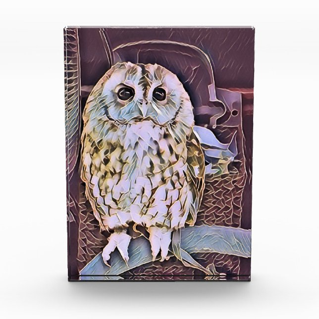OWL   PHOTO BLOCK (Front)