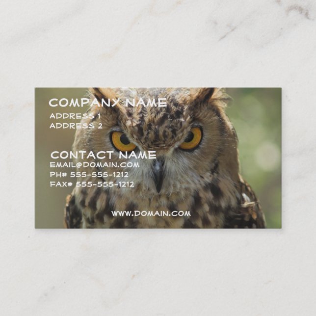 Owl Photo Business Card (Front)