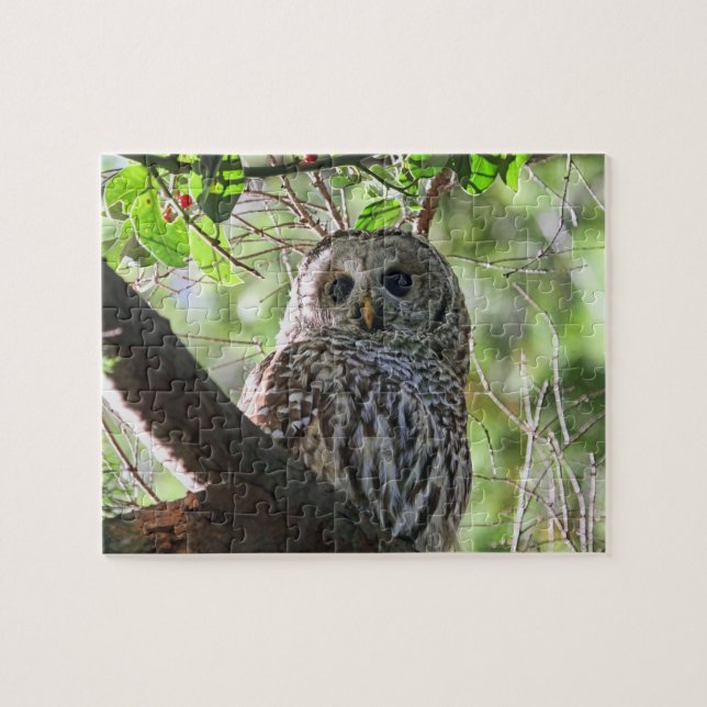 Owl Photo Jigsaw Puzzle (Horizontal)