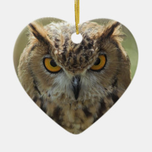 Owl Photo Ornament