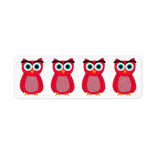 Owl Photo Print